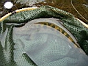 2007-03-31 014.JPG